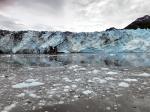 Prince William Sound 26 Glacier Cruise